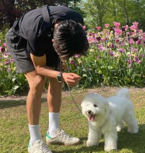 佐野選手らしき人と白い犬